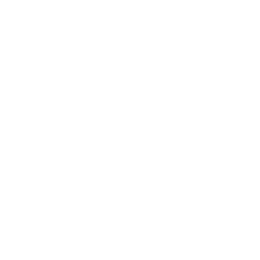 Casino chip icon