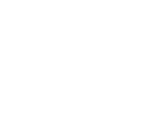 Bingo icon